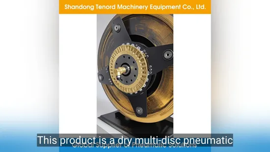 As0900 Pneumatic Brake System for Punch Presses and Spare Parts 
